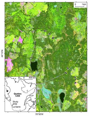 Role of Mixed-Species Stands in Attenuating the Vulnerability of Boreal Forests to Climate Change and Insect Epidemics